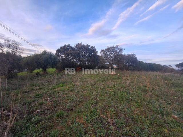 Terreno venda em Outeiro Grande, Torres Novas