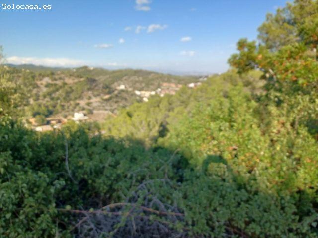 Local Comercial en venta en Baix Penedès, Catalunya