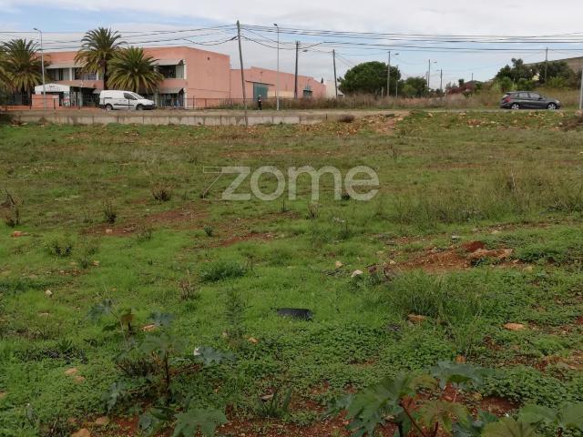 Terreno venda em Conceição da Abóboda, Cascais