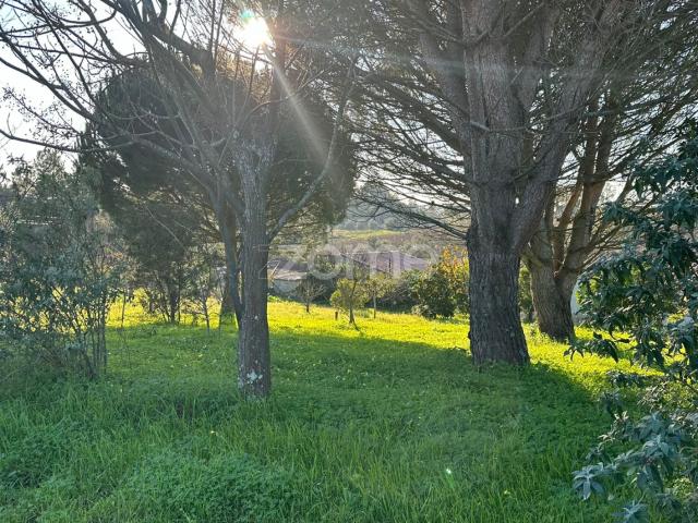 Terreno venda em Peneireiro, Anadia
