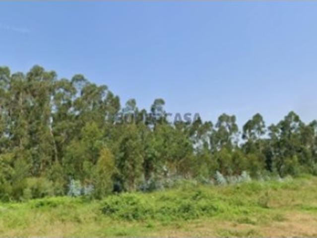 Terreno venda em Albergaria-a-velha, Aveiro