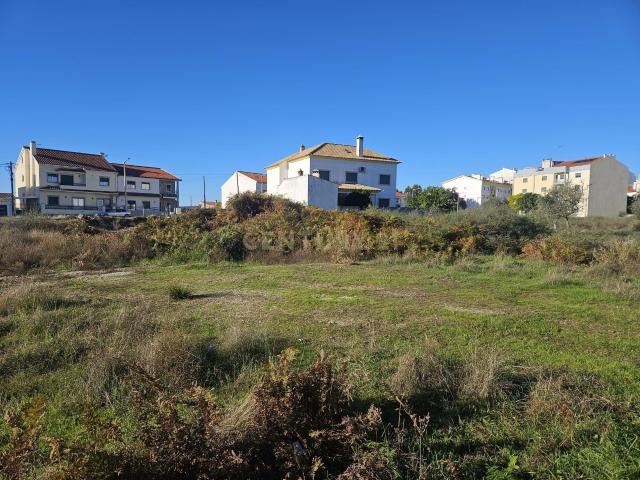 Terreno venda em Castelo Branco