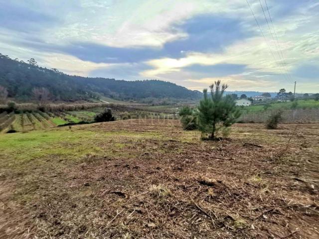 Terreno venda em Valado de Santa Quitéria, Alcobaça