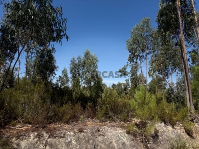 Terreno venda em Coimbrã, Almalaguês