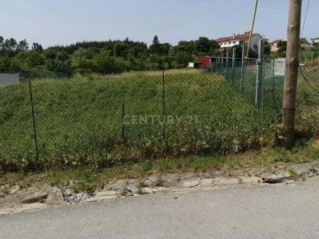 Terreno venda em Vale de Estevão, Anadia