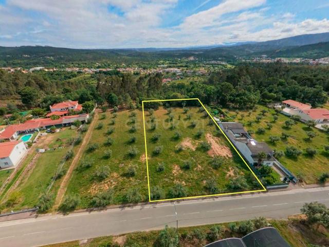 Terreno venda em Arganil