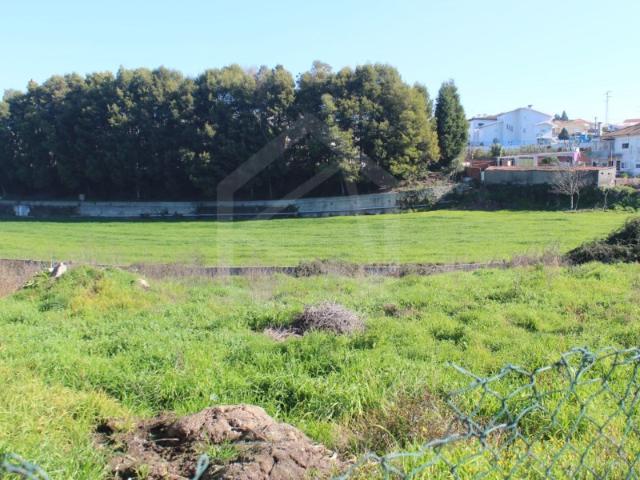 Terreno venda em Santa Maria Da Feira, Aveiro