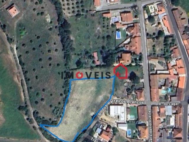Terreno venda em Santarém