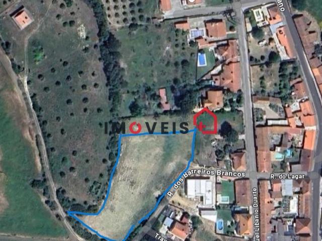 Terreno venda em Santarém