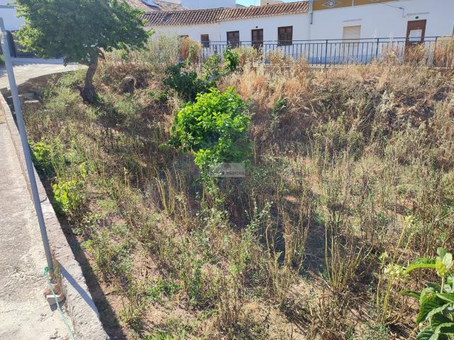 Terreno venda em Vila do Bispo e Raposeira, Vila do Bispo