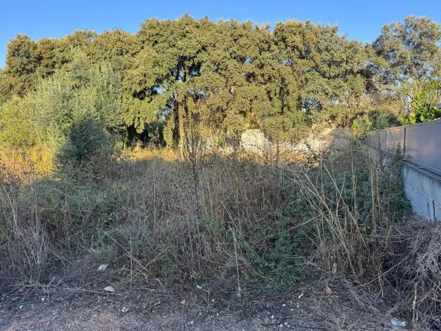 Terreno venda em Boleiros, Ourém