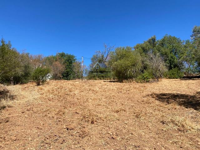 Terreno venda em Loulé, Faro