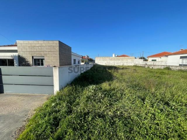 Terreno venda em Torres Novas, Santarém
