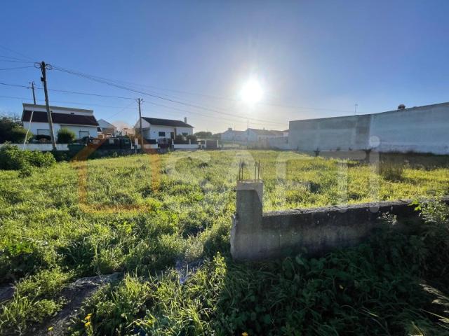 Terreno venda em Brogueira