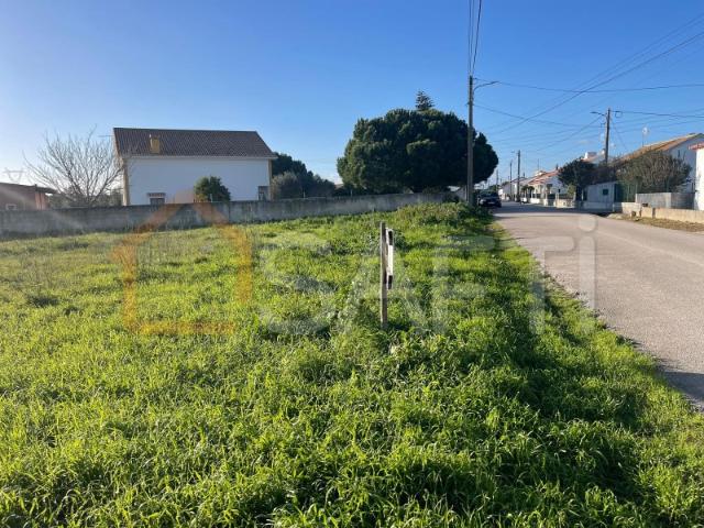Terreno venda em Brogueira