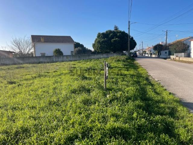 Terreno venda em Torres Novas, Santarém