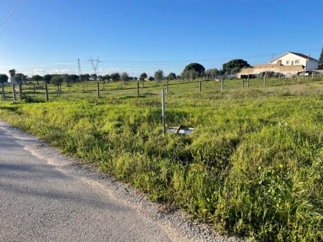 Terreno venda em Torres Novas, Santarém