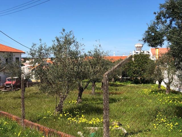 Terreno venda em Santiago Do Cacém, Setúbal