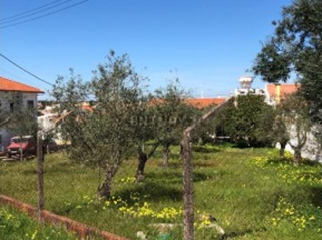 Terreno venda em Santiago Do Cacém, Setúbal