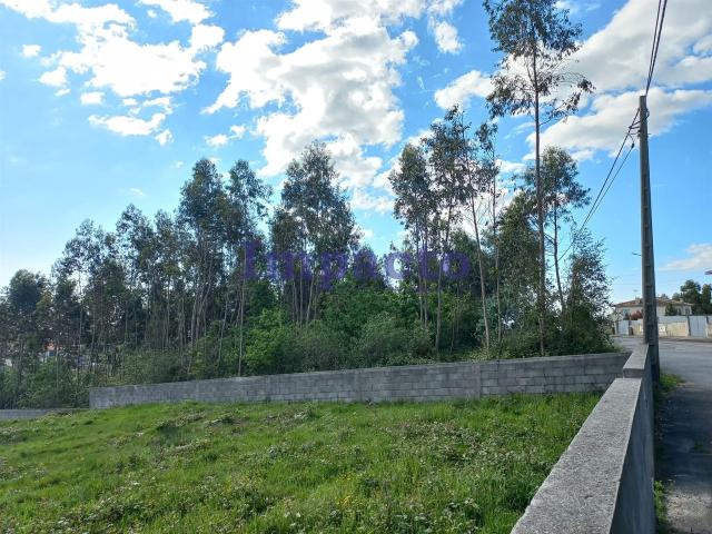 Terreno venda em Arouca, Escariz