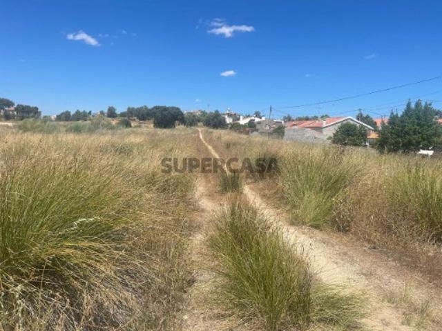 Terreno venda em Avis, Portalegre