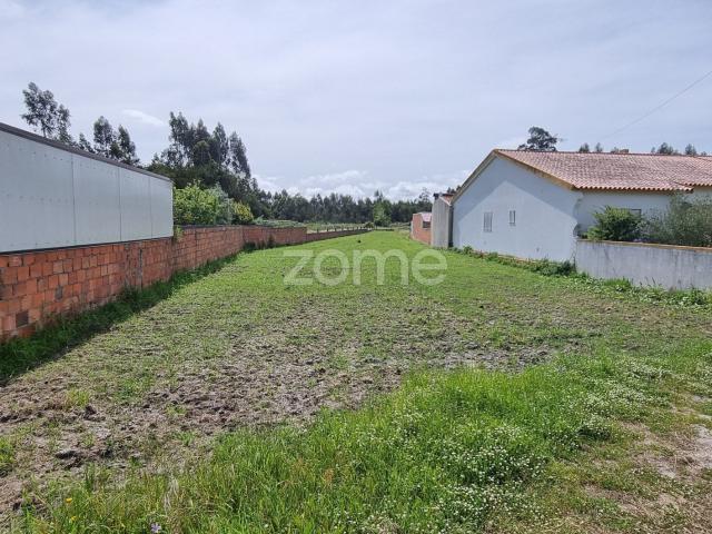 Terreno venda em Parada de Cima, Ponte De Vagos