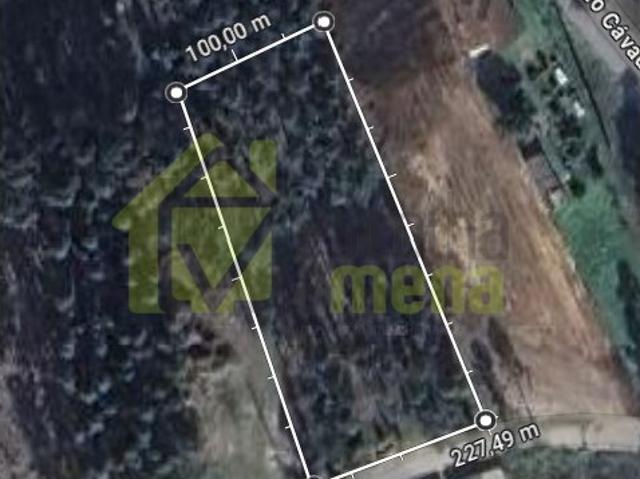 Terreno venda em Albergaria-a-velha, Aveiro