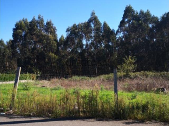 Terreno venda em Fradelos, Gavião