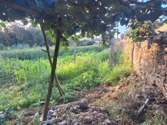 Terreno venda em Vila Do Conde, Porto