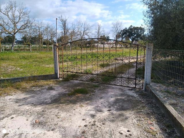 Terreno venda em Salvaterra De Magos, Santarém
