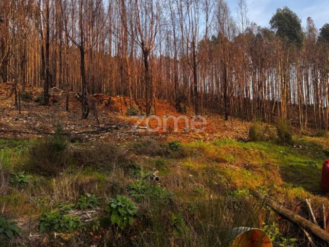 Terreno venda em Gondomar, Porto