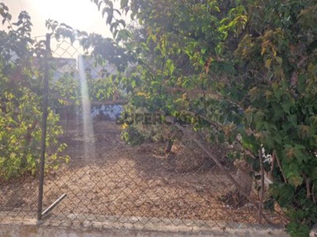 Terreno venda em Faro