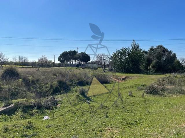 Terreno venda em Silves, Faro