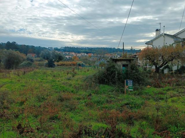 Terreno venda em Casal Sancho, Nelas