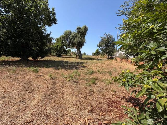 Terreno venda em Rego Da Murta, Santarém