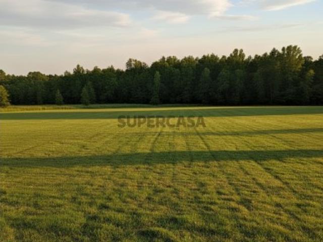 Terreno venda em Oliveira Do Bairro, Aveiro