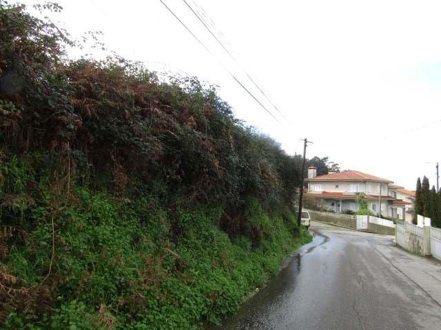 Terreno venda em Nogueira da Regedoura, Santa Maria da Feira