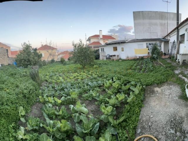 Terreno venda em Cascais, Lisboa