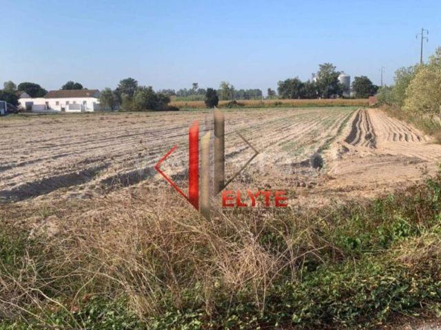 Terreno venda em Salvaterra De Magos, Santarém