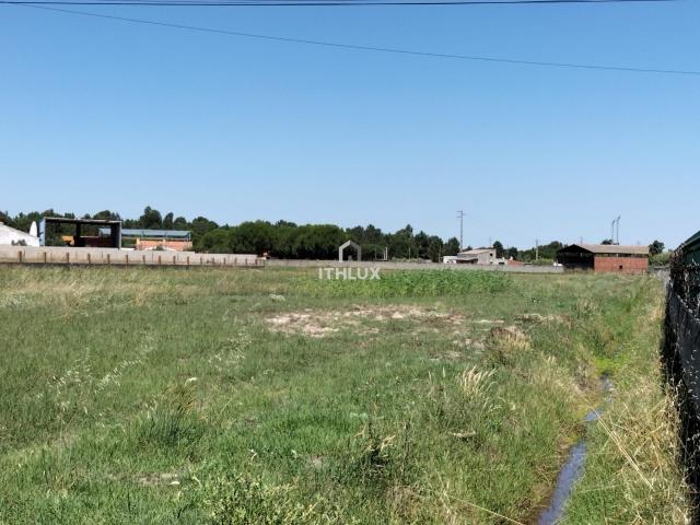 Quinta venda em Benavente, Santarém