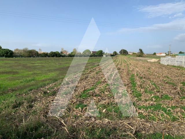 Terreno venda em Lagoa de Esgueira, Aveiro
