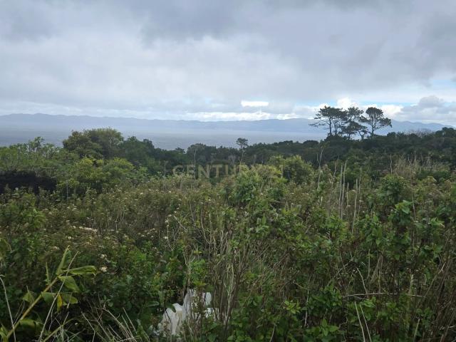 Terreno venda em Açores, São Roque Do Pico