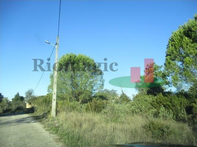 Terreno venda em Carregueiros, Carregueiros
