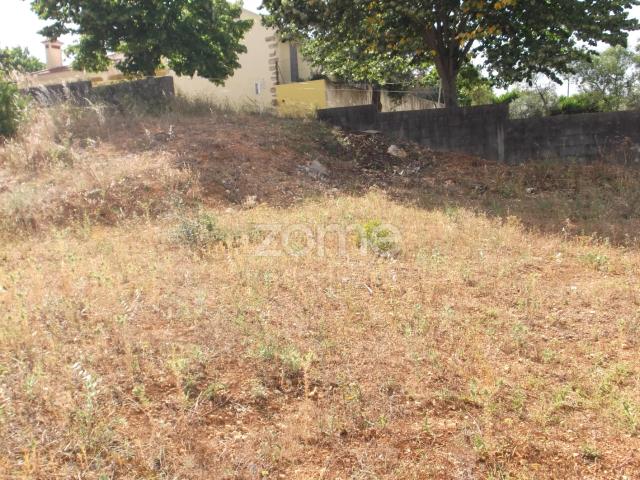 Terreno venda em Casal da Azinheira, Tomar