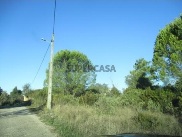 Terreno venda em Tomar, Santarém