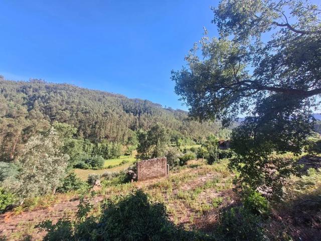 Terreno venda em Arouca, Tropeço