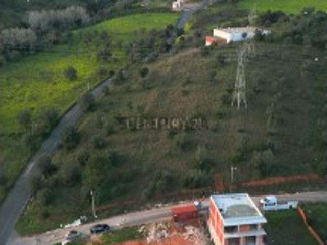 Terreno venda em Cabo de Vialonga, Vialonga