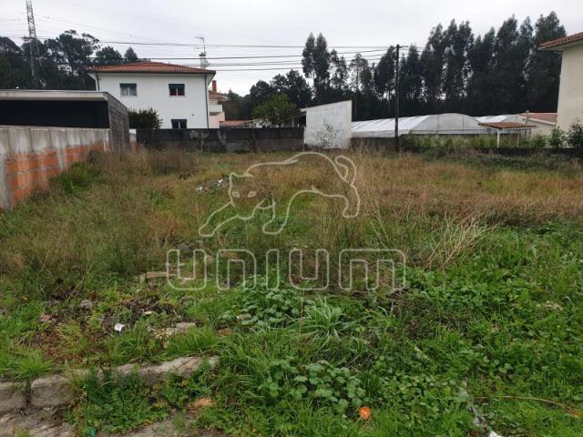 Terreno venda em Viana Do Castelo