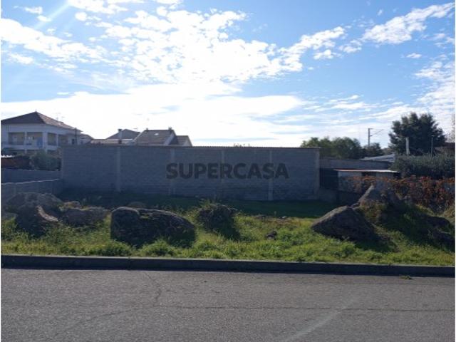 Terreno venda em Castelo Branco