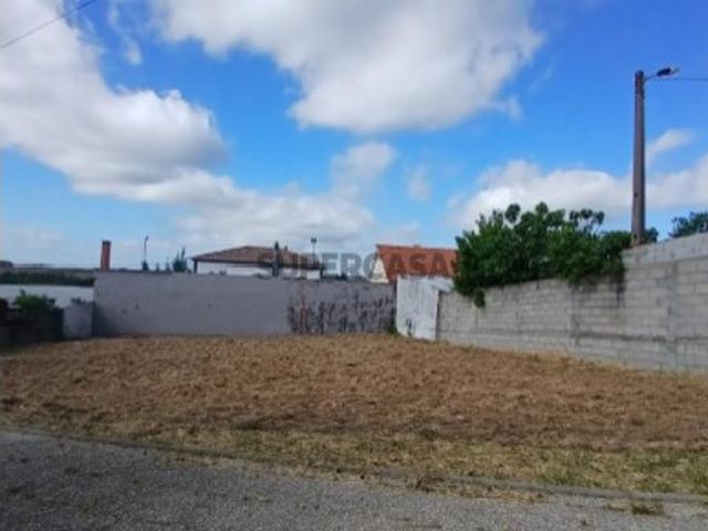 Terreno venda em Castelo Branco
